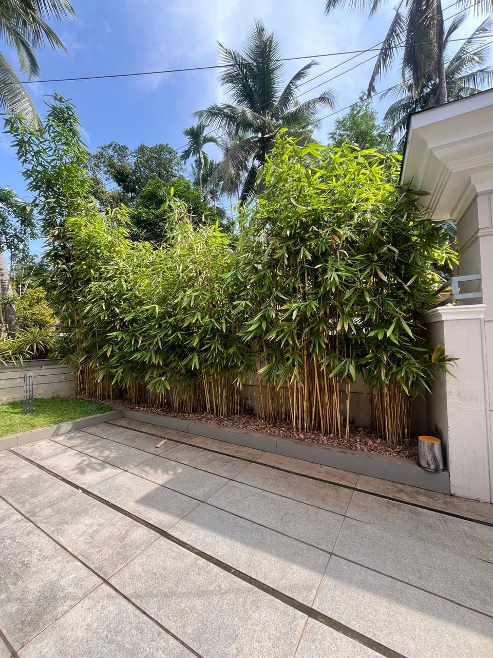 The Living Wall